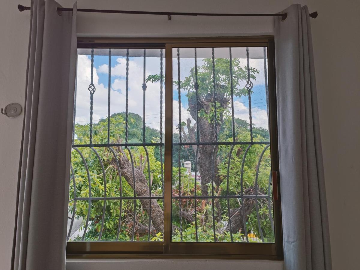 La casita del árbol, amplia, cómoda y bien ubicado Campeche Exterior foto